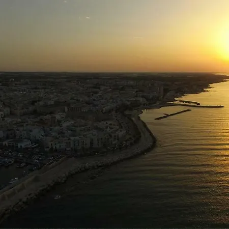 Bouganville Mola di Bari